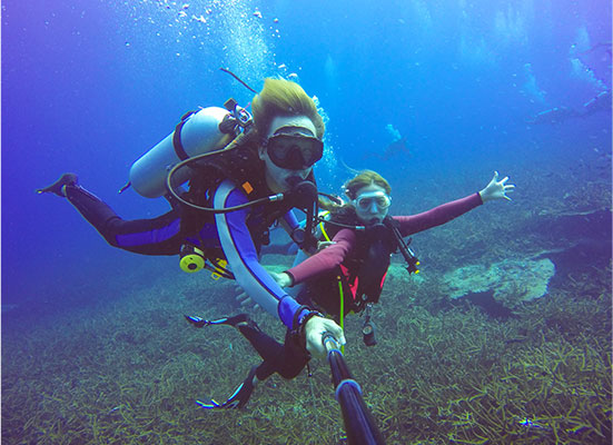 Discovery Dive
